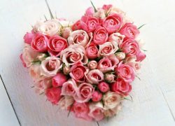 Semana da Mulher – 2017 flores