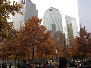 20131111_154420