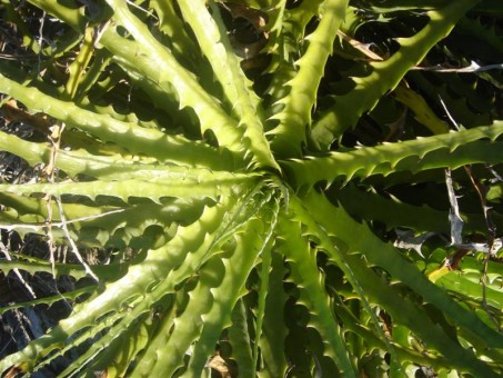 01718f0d784ff3aa82bb97e004d8f742728 (1)