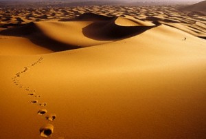 vol_deserto_584px