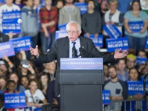 bernie-madison