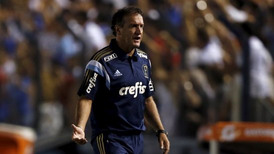 cuca-em-acao-pelo-palmeiras