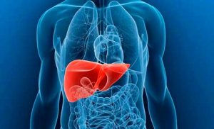 fígado-hepatite-zero-campanha