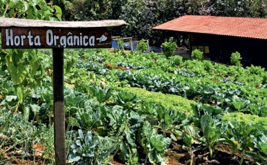 hortaorganica