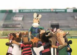 Chapecoense, um ano chape3