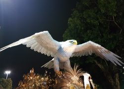 As lições das cinzas 20170228_015415