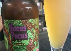 Observando o Mercado Brasileiro de Cerveja hocus pocus
