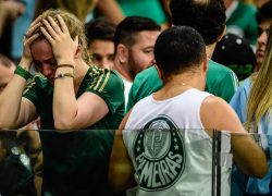 Ainda não entenderam Palmeiras2017ot
