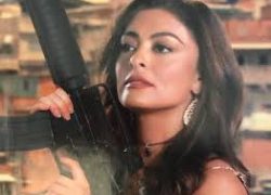 A novela da vida real Bibiot