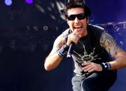 O rock errou Dinhozonaide