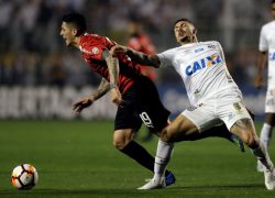 A várzea Santos